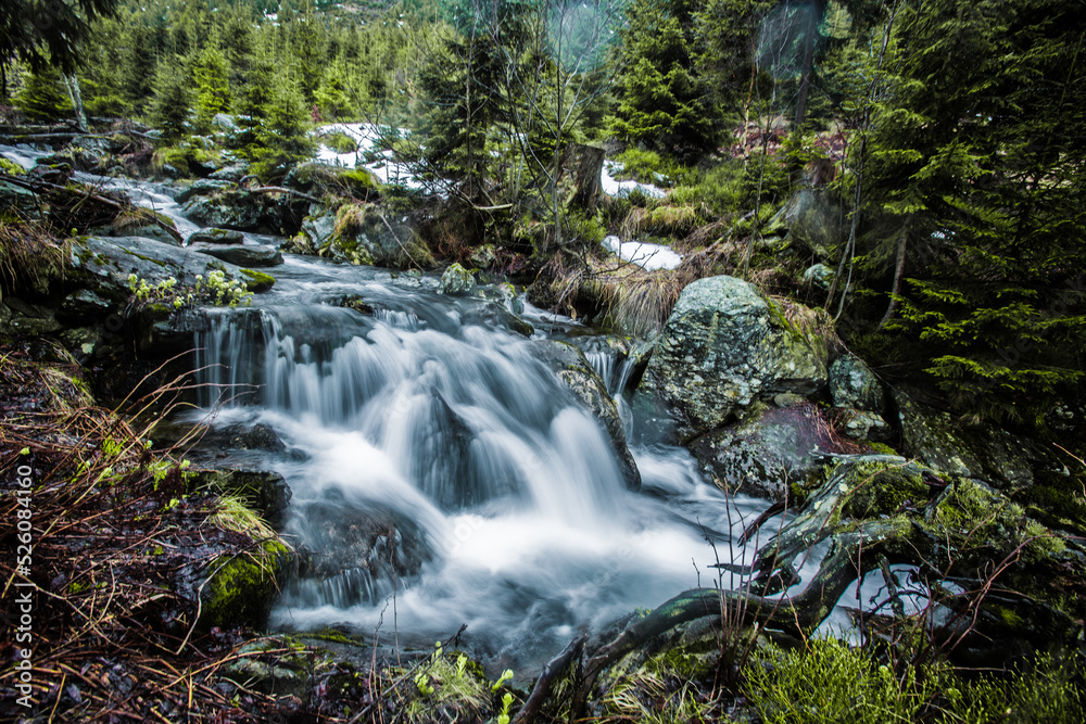 Walk along the water in the national park.