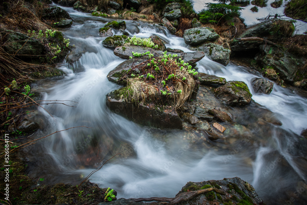 Walk along the water in the national park.