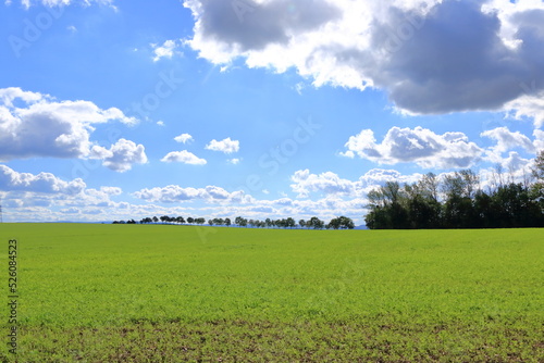 Green sloping meadow with blue sky and clouds background