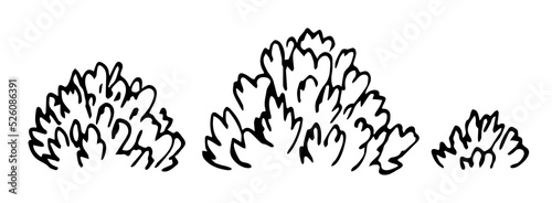 Simple vector drawing in black outline. Set of bushes, forest park plants, trees, vegetation. Ink sketch. Landscape and nature.