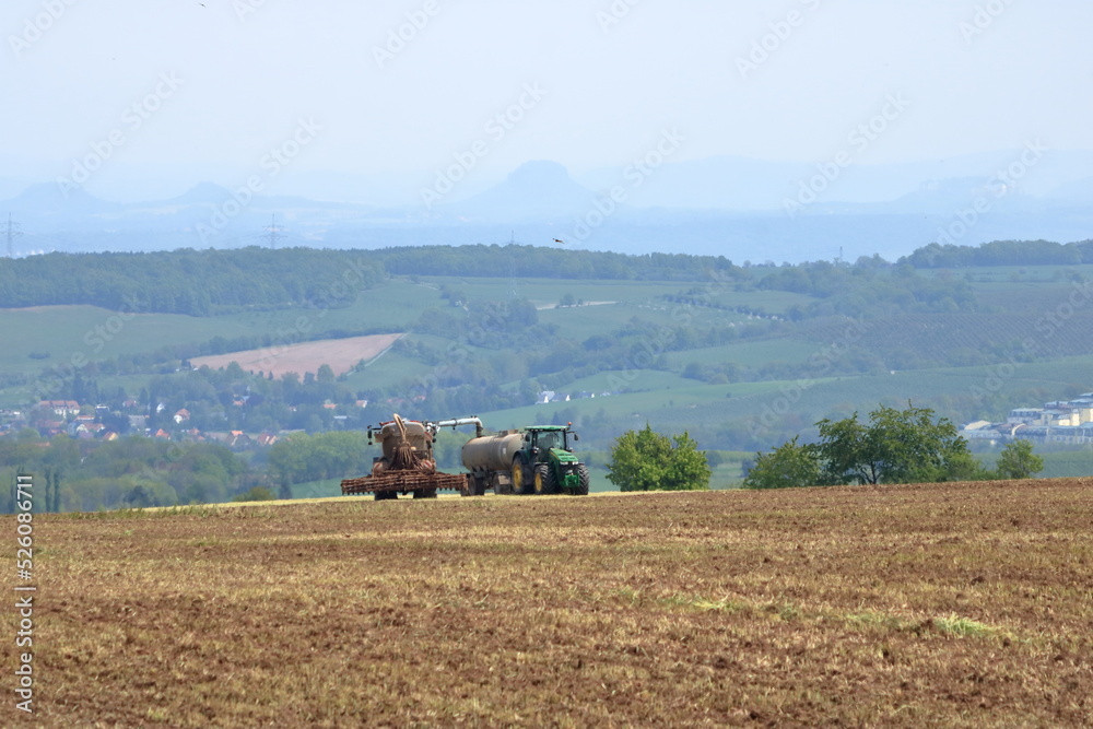 Fototapeta premium corn harvest in autumn