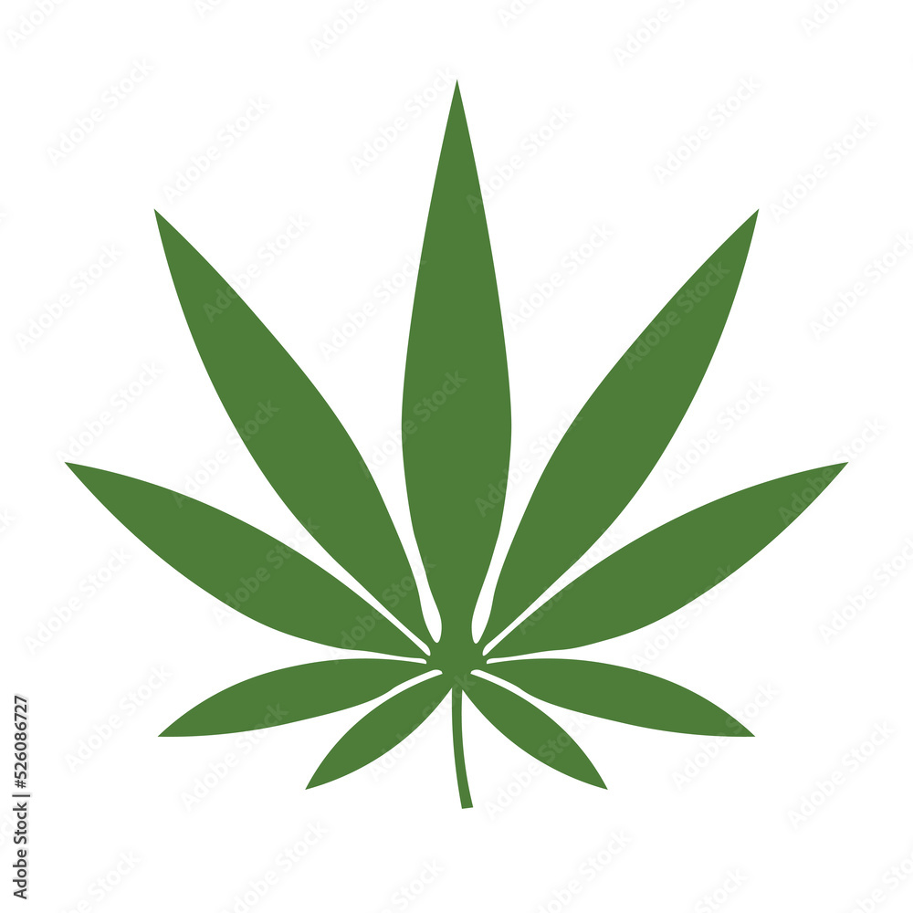Green hemp leaf on white background Green hemp leaf on white background