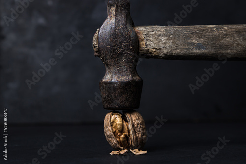 The hammer splits the Walnut on a black background. Walnut on a dark background