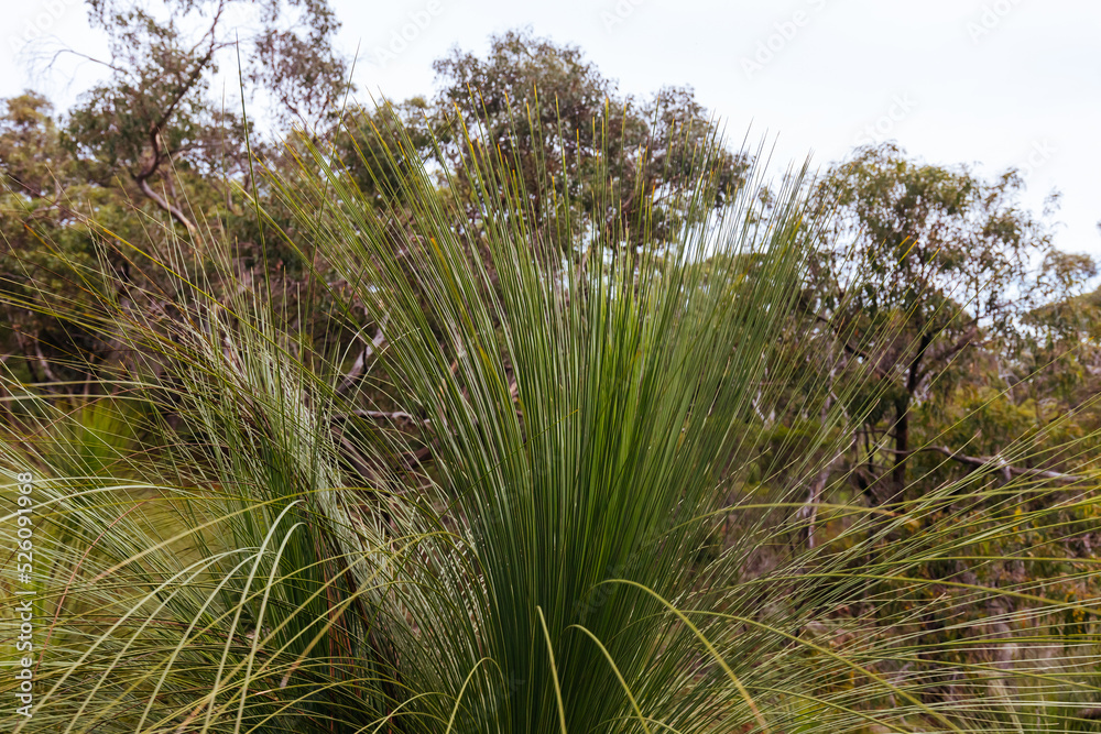 Two Bays Walking Track in Victoria Australia Two Bays Walking Track in Victoria Australia