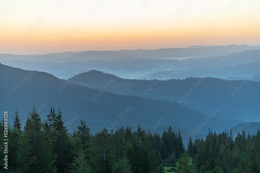 Green fir trees against the background of the Carpathian mountains before dawn in the summer. Ukraine