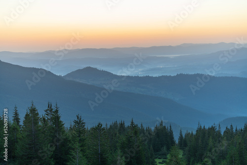 Green fir trees against the background of the Carpathian mountains before dawn in the summer. Ukraine