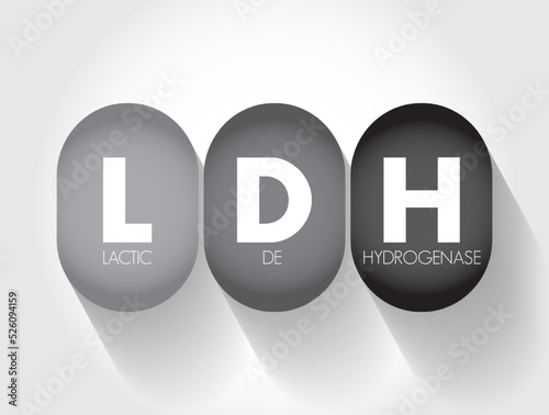 LDH lactic dehydrogenase - enzyme found in almost all body tissues, acronym text concept background
