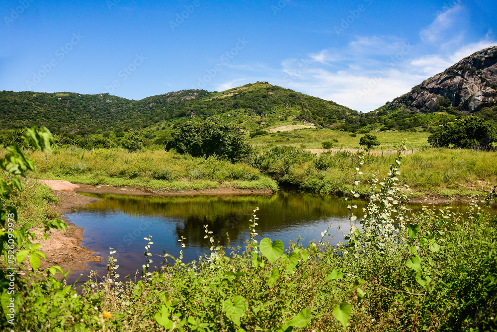 river with green grass and lake, river bank