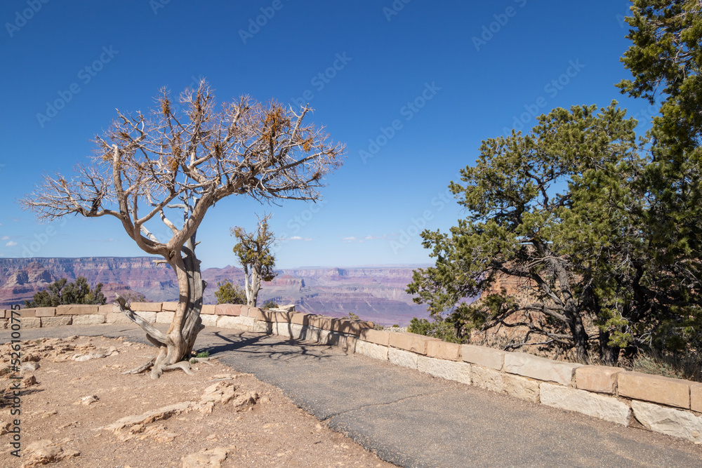 Fototapeta premium Trail along the edge of the Grand Canyon