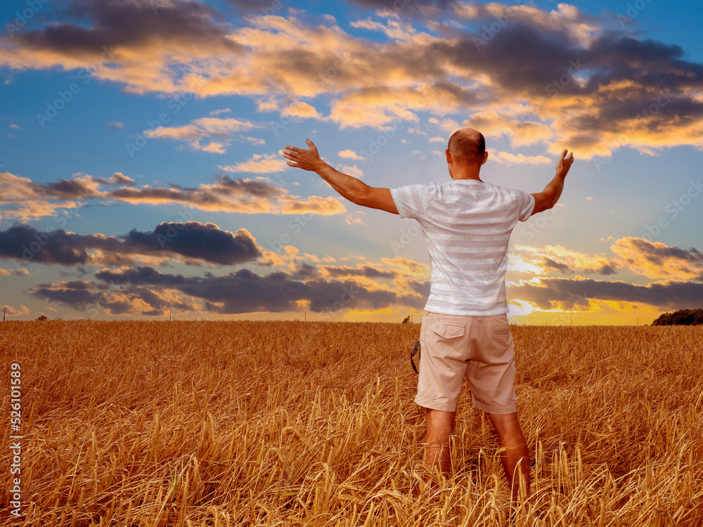 Happy agronomist. Man in wheat field. Agronomist rejoices at good harvest. Agronomist in wheat field with his back to camera. Man before sunset. Owner of agricultural company spread his arms to sides Happy agronomist. Man in wheat field. Agronomist rejoices at good harvest. Agronomist in wheat field with his back to camera. Man before sunset. Owner of agricultural company spread his arms to sides