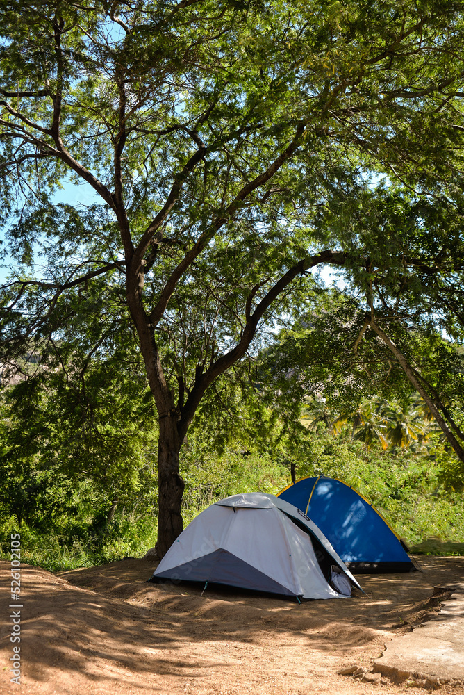 camping in the forest, two camping tents in the shade of the tree, camping club