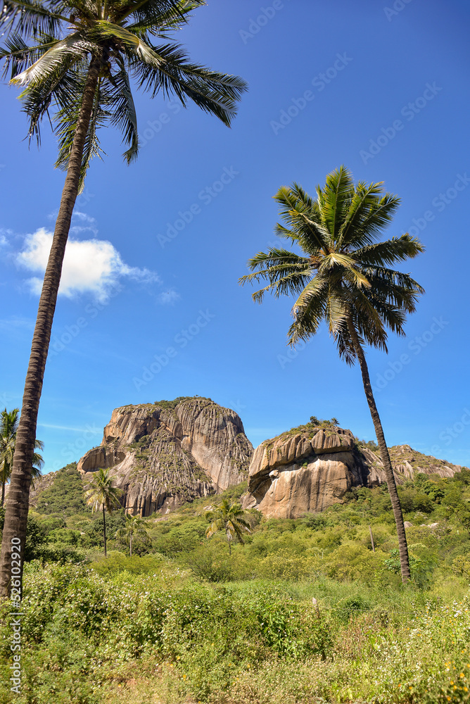  mountain and coconut trees in brazilian summer, mountain to climb in northeastern Brazil, natural landscapes, tourism in brazil, brazilian landscape