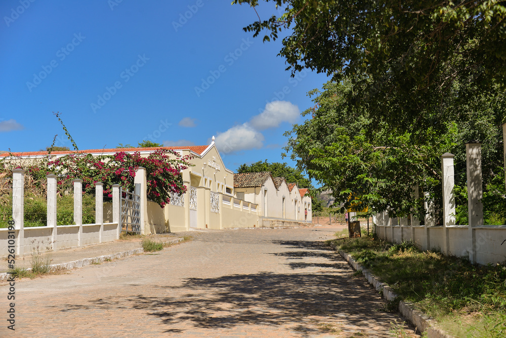 street of houses in the interior of northeastern Brazil   ,tree lined street with old houses, Araruna, Paraíba