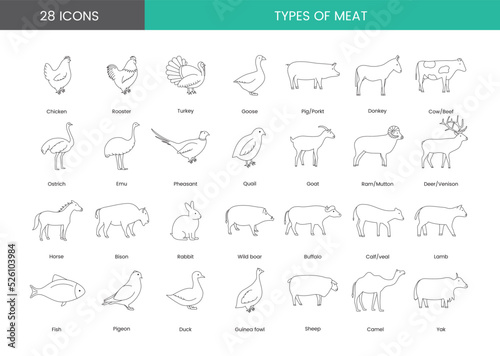Icons of poultry meat and farm animals, vector illustration of the line. Types of meat