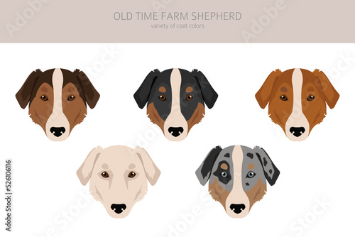 Old time farm shepherd clipart. Different coat colors set © a7880ss