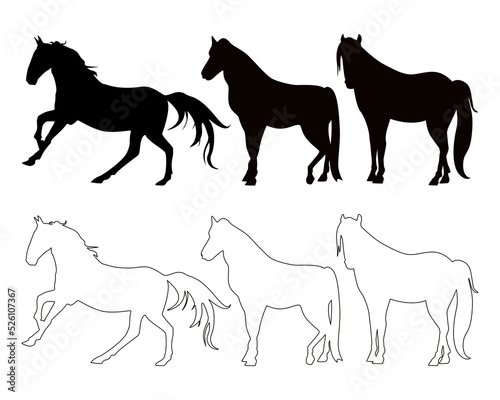 Black silhouettes of horses. Vector illustration of horses, silhouettes on a white background