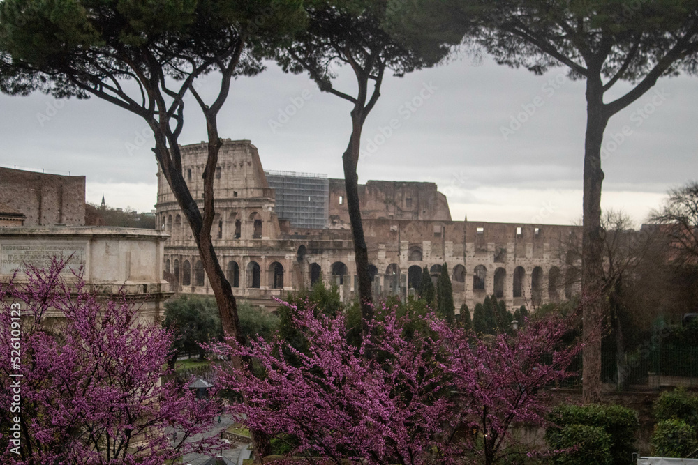 Obraz premium View of the coliseum from palantine hill 