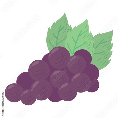 fresh grapes fruit healthy