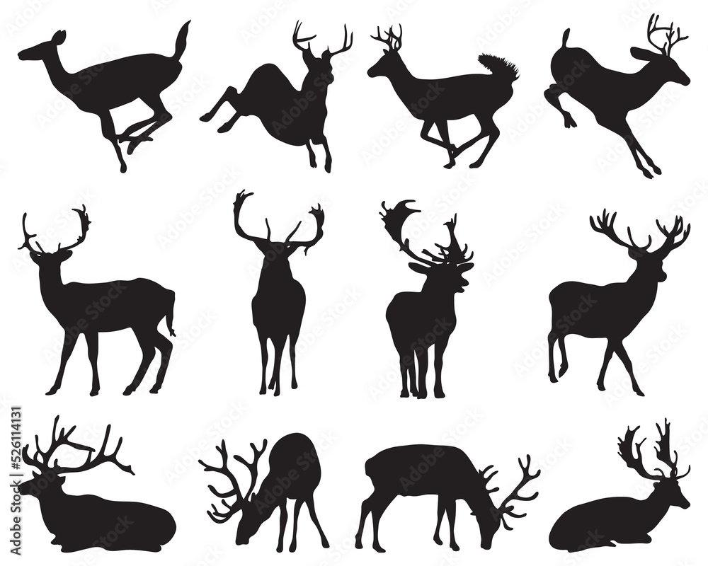 Graphic black silhouettes of wild deers on a white background Graphic black silhouettes of wild deers on a white background
