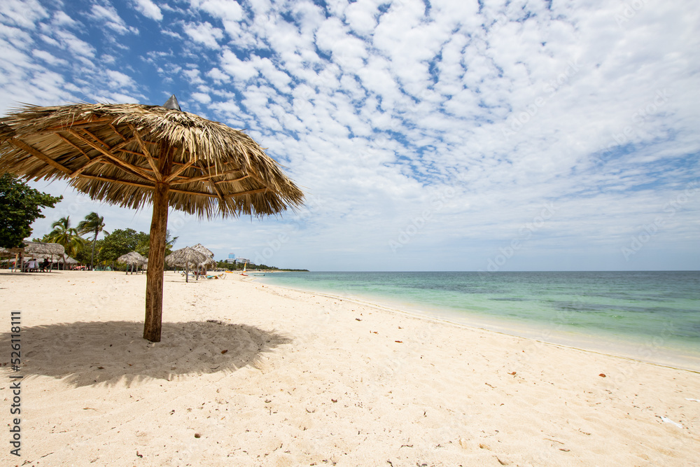 Fototapeta premium Caribbean beach with crystal clear sea and sand. Relaxation and tourism in the Caribbean. Beach umbrella made of palm leaves. Caribbean resort and luxury experience tranquil and relax