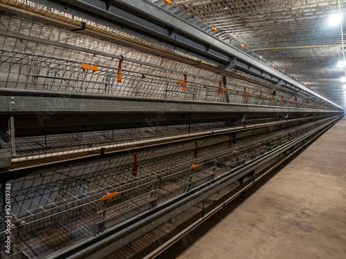 The empty laying cages in the chicken farm