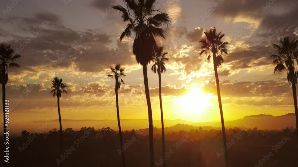 Aerial shot of dramatic clouds and the setting sun behind a row of palm trees. Los Angeles California.