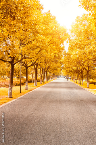 alley in the park
