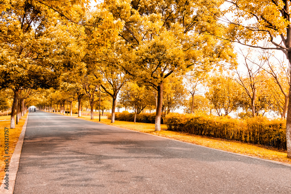 alley in the park