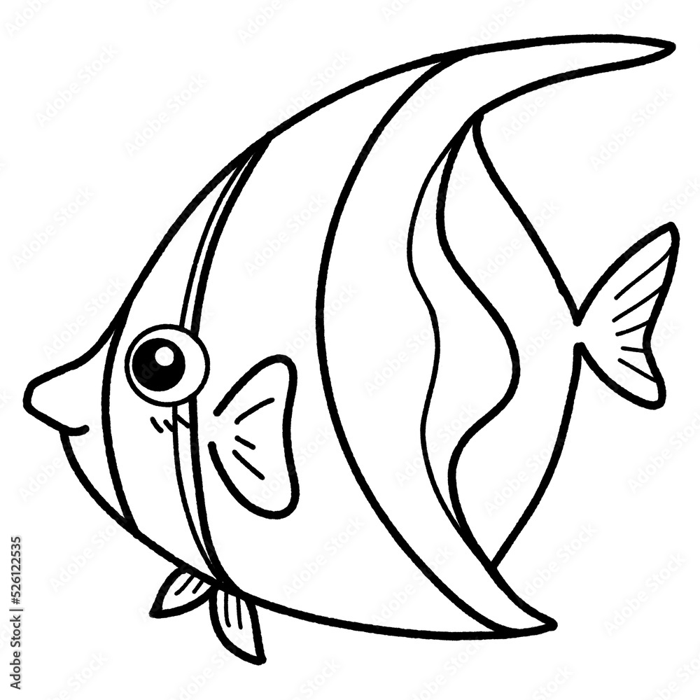 Fototapeta premium Sealife animals