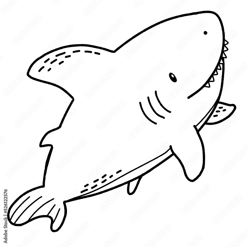Fototapeta premium Sealife animals