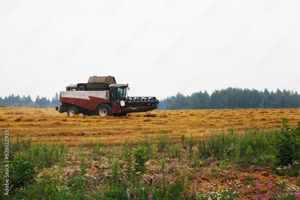 The combine harvester harvests wheat in the field. Harvesting wheat. Russia. August 2022. The combine harvester harvests wheat in the field. Harvesting wheat. Russia. August 2022.
