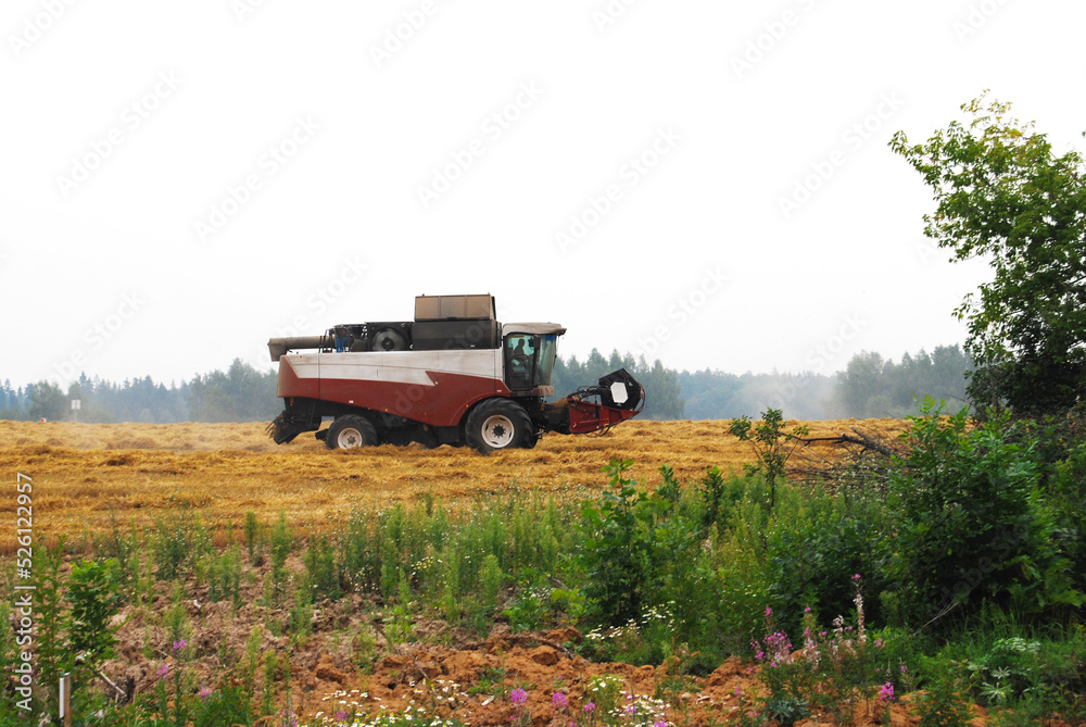 The combine harvester harvests wheat in the field. Harvesting wheat. Russia. August 2022. The combine harvester harvests wheat in the field. Harvesting wheat. Russia. August 2022.