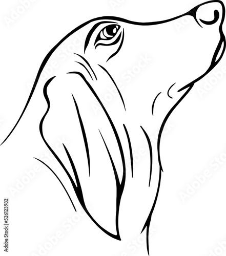 Dog head  outline vector illustrations design