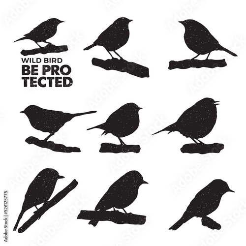 collection silhouette bird illustration for bird protection