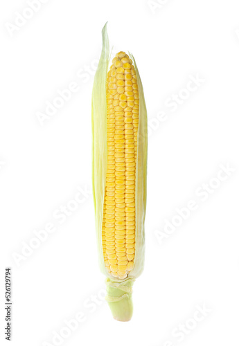 Tasty fresh corn cob isolated on white