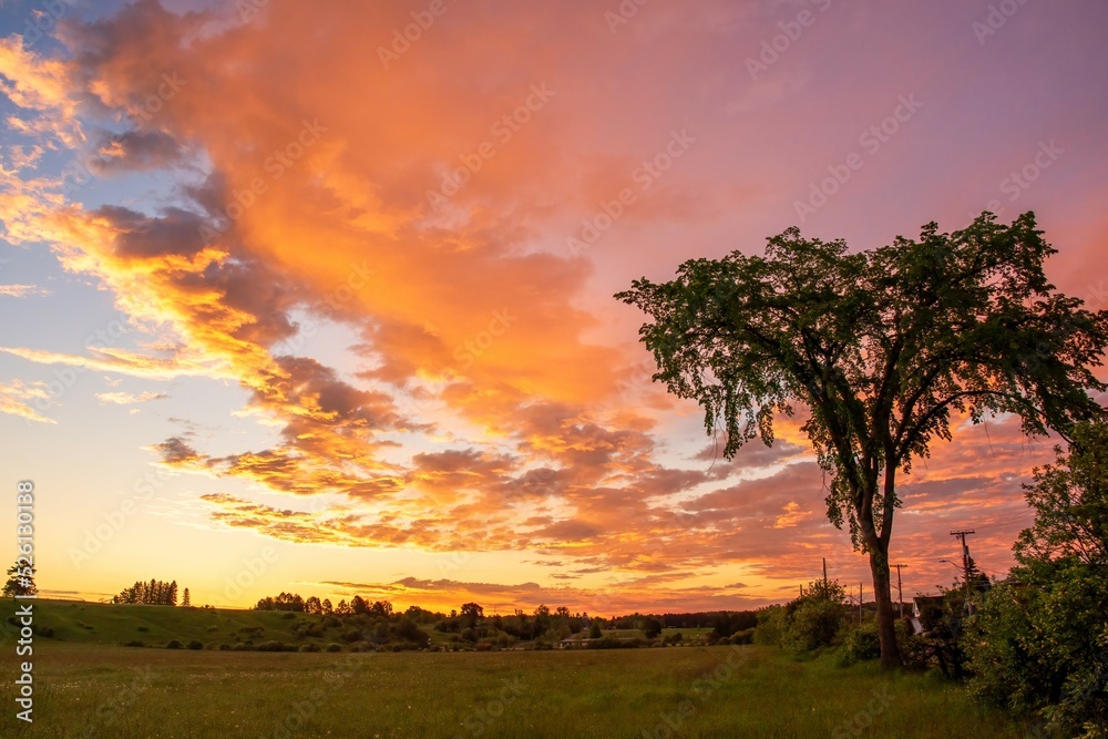 sunset in the field