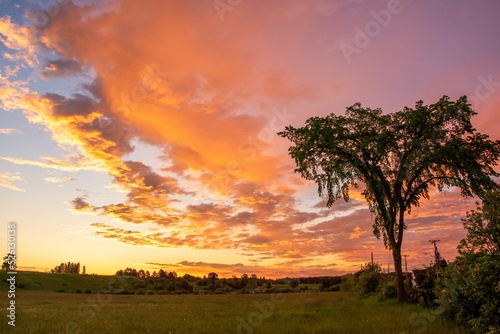 sunset in the field