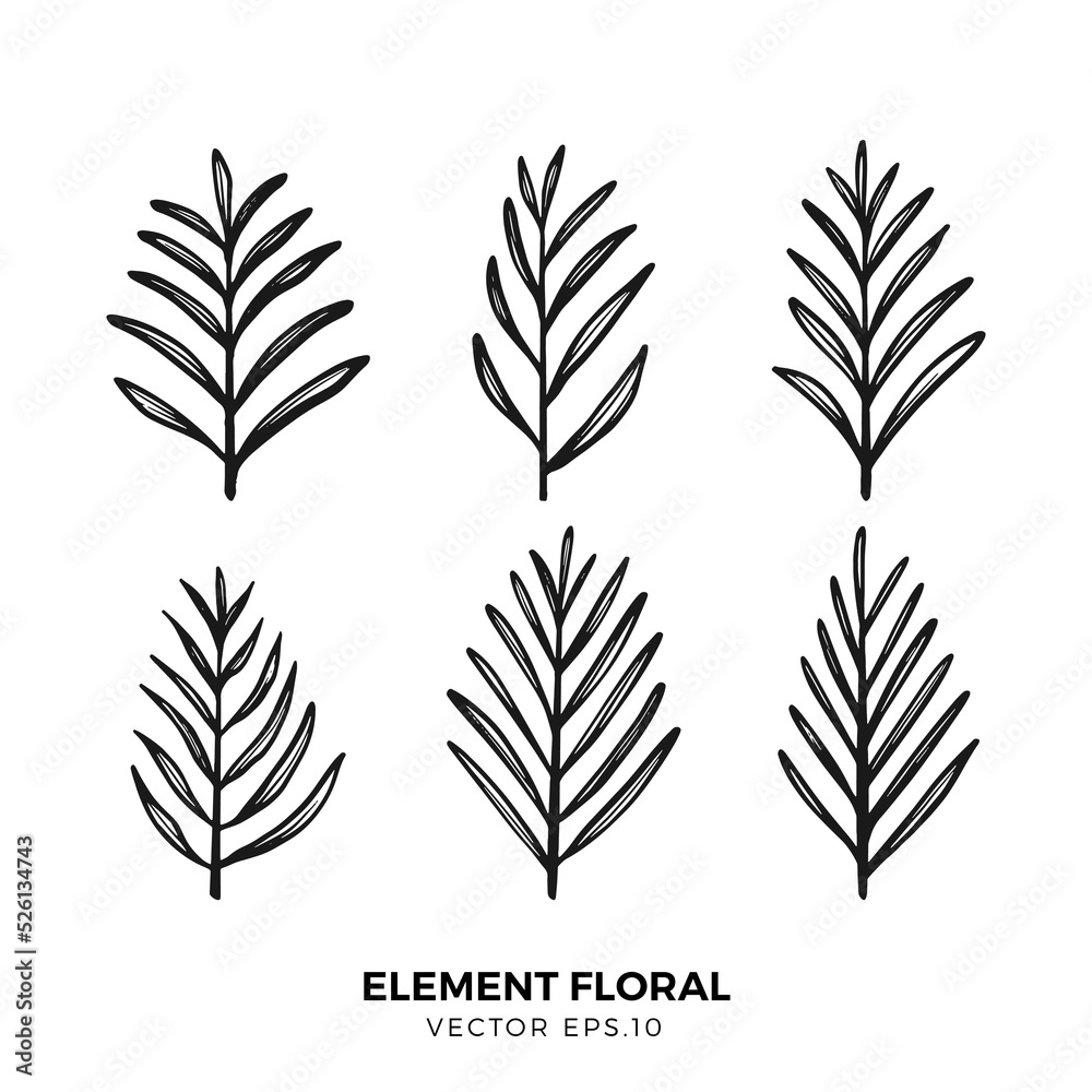 Obraz premium floral element vector collection