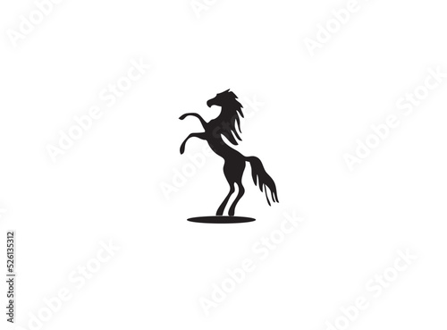 Fototapeta Naklejka Na Ścianę i Meble -  silhouette of a horse