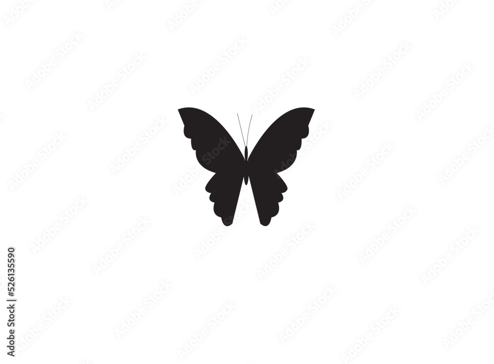 Obraz premium butterfly isolated on white