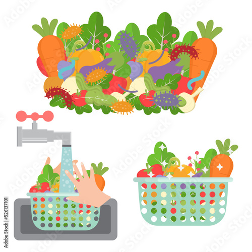 Wash fresh vegetables for cooking. Clean vegetables . Healthy food. Vector illustration.