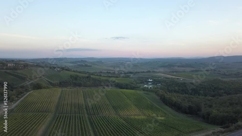 Aerial view over vineyards, drone in Tuscany, during sunset. High quality 4k footage