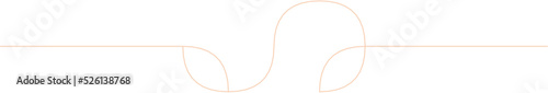 Floral Aesthetic Divider Line Art