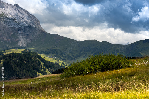 Moody sky over meadows in the Dolomites, Trentino Italy. Summer 2021