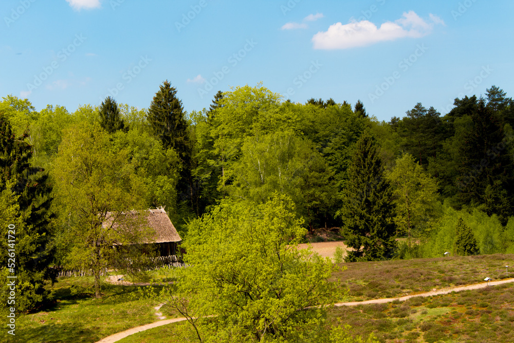 Lüneburger Heide