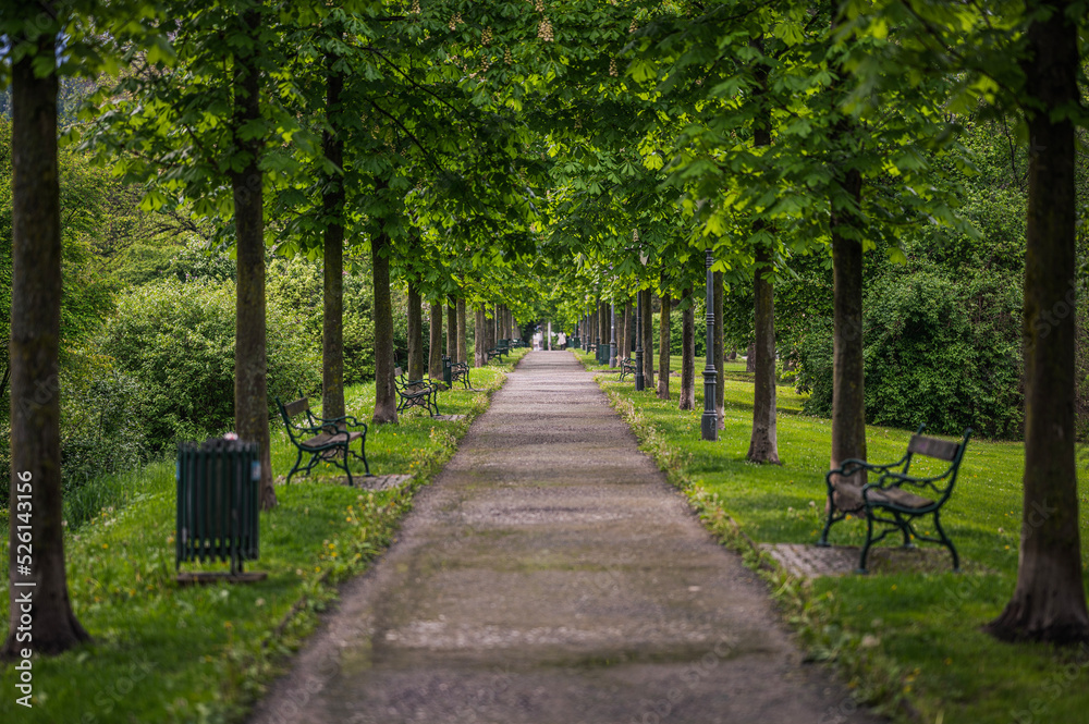 path in the park path in the park