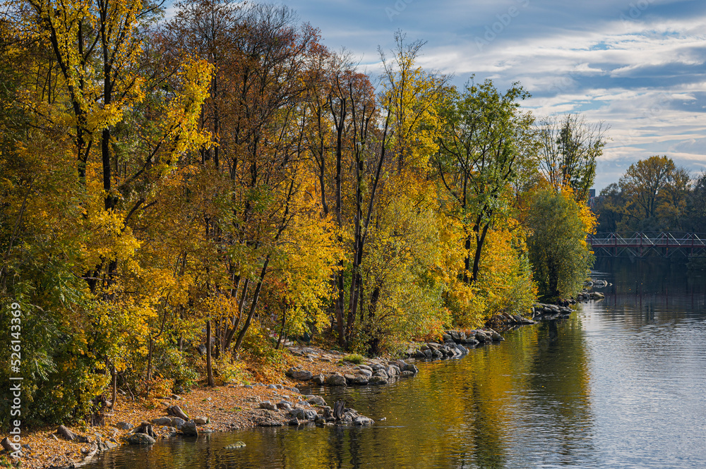 autumn in the park