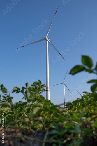 Windräder © Sarah