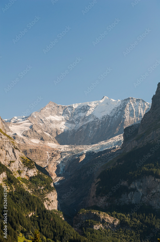 Grindelwald, Unterer Grindelwaldgletscher, Eiger, Eigernordwand, Schreckhorn, Alpen, fiescherhörner, finsteraarhorn, Berner Oberland, Bergdorf, Sommer, Schweiz