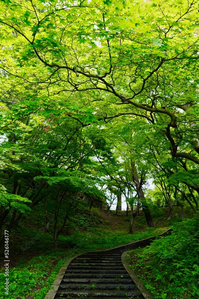 Obraz premium Japanese Shrine, Zen garden et momiji leaf